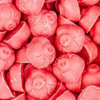 Pink Chocolate Pigs